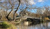 Trail Walking Chatou - Le Vesinet : Landes - Ibis - les Rivières  - Photo 5