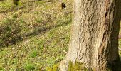 Tour Zu Fuß Schlangen - Rundwanderweg A1 [Langes Tal / Noaks Pumpe] - Photo 2