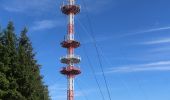 Tour Zu Fuß Meeder - Oberlauter - Donnerloch - Alexandrinenhütte - Photo 9