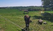 Trail On foot Saint-Sauvy - trail cote 12*30 - Photo 1