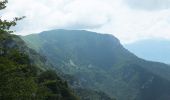 Percorso A piedi Ledro - Sentér de Saval - Photo 2