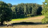 Tour Wandern Ittre - Marche Adeps - Virginal - Photo 4