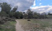 Excursión Senderismo Argelès-sur-Mer - réserve du mas Larrieu de part et d autre du Tech - Photo 7