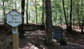 Tour Wandern Spa - La forêt et les fagnes - Photo 3