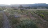 Percorso Trekking con gli asini Tuchan - cathare 3 Tuchan Duilhac sous peyrepertuse  - Photo 3