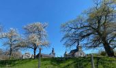 Tocht Stappen Braives - Fallais - Fumal - Huccorgne - Photo 10