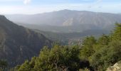 Tour Wandern Vernet-les-Bains - plc de l'alzina départ chemin de la laiterie Vernet les Bains  - Photo 2