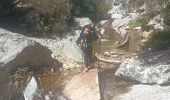 Trail Walking Saint-Gervais-sur-Mare - boucle COURS LES BANISSOUS - Photo 7