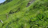 Trail Walking Lavigerie - 2024 RA Cantal Puy Mary - Photo 8