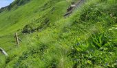 Tour Wandern Lavigerie - 2024 RA Cantal Puy Mary - Photo 8