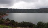 Trail Walking Celles - Lac du Salagou  - Photo 4