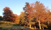 Randonnée Marche Esneux - tilff . bois des manants . ourthe  - Photo 3
