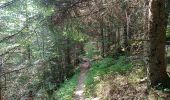 Trail Walking Crêts-en-Belledonne - Refuge du Crêt du poulet-col de Merdaret-Bois Vert - Photo 2