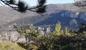 Excursión Senderismo Saint-Léger-du-Ventoux - saint léger du ventoux  - Photo 9