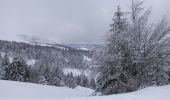 Tour Skiwanderen Mont-Dore - le capucin - Photo 9