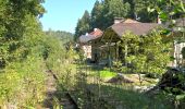 Tour Zu Fuß Fürsteneck - Fürstenecker Triftsteig - Photo 6