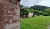 Trail Walking Girmont-Val-d'Ajol - herival - Photo 8
