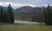 Excursión A pie okres Tvrdošín - Náučný chodník Juráňova dolina - Photo 7