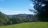 Excursión Marcha nórdica Limbourg - limbourg_11_06_2022 - Photo 16