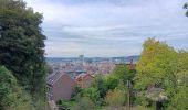 Randonnée Marche Liège - cathédrale chartreuse retour  - Photo 11