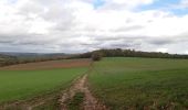 Trail Walking Newel - RÖMERPFAD - Photo 16