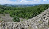 Tour Zu Fuß Ehrenberg - Reulbach Rundwanderweg 12 - Photo 6