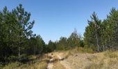 Trail Walking Bédoin - ventoux pavillon de  Roland MA - Photo 12