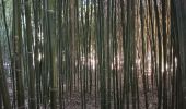 Trail Walking Saint-Cyprien - jardin des plantes de Saint cyprien  - Photo 7