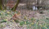 Tocht Stappen Monschau - Kalterherberg - rocher du Bieley - Photo 5