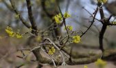 Tour Wandern Chaumont-Gistoux - #240216 - Bonlez, Aftia, Bruyères, Champ des Goffes**** - Photo 7