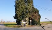 Trail Electric bike Ronse - Renaix - Beausite - Anvaing Carnois (œufs) - Photo 12