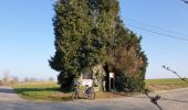 Tour Elektrofahrrad Ronse - Renaix - Beausite - Anvaing Carnois (œufs) - Photo 12