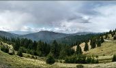 Excursión A pie Gheorgheni - Pasul Pângărați – Poarta Lapoșului – Curmătura Pinticului (blue stripe) - Photo 4