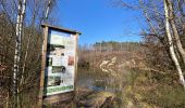 Tour Wandern Anthisnes - Anthines - AS03 - Boucle de Tolumont - Losange Bleu - Photo 14