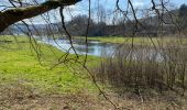 Tour Wandern Herbeumont - Herbeumont 20 km - Photo 11