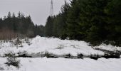 Trail Walking Theux - Bronromme sous la neige  - Photo 6