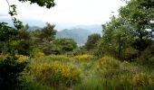 Tocht Stappen Saint-Julien-en-Quint - Bec Pointu - Les Glovins - St-Julien-en-Quint - Photo 12