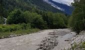 Randonnée Marche Chamonix-Mont-Blanc - Les Tines Argentière par l'Arve - Photo 20