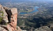 Tocht Stappen Roquebrune-sur-Argens - Cimetière Roquebrune / Argens - La Maurette - 3 Croix - Grotte de l'Ermite - Photo 13