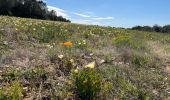 Tour Wandern Nîmes - Clos de Gaillard - Photo 5