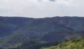 Randonnée Marche La Garde-Freinet - Route des crêtes - La Garde-Freinet - Photo 6