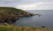 Excursión Senderismo Plogoff - 2019 06 12 Loc'h Baie des Trépassés par Pointe du Raz - Photo 2