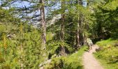 Tour Wandern Belvédère - Relais Merveille-Madone de la Fenestre - Photo 9