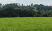 Tour Wandern Lierneux - réserve naturelle de Lierneux - Photo 13