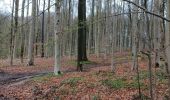 Tour Wandern Nivelles - Marche ADEPS école ste Thérèse Nivelles 10 km - Photo 3