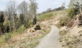Trail Walking Aywaille - ninglinspo . chefna . fond de quareux  - Photo 9