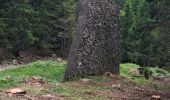 Trail Walking Laval-en-Belledonne - LES LACS DU VENETIER - Photo 3