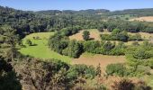 Tour Wandern Ménil-Hubert-sur-Orne - De Rouvroy aux Roches d'Oetre par le sentier des Méandres  - Photo 7