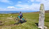 Tocht Mountainbike Pont de Montvert - Sud Mont Lozère - la Brousse /Station du Mont Lozère - Photo 5