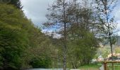 Tocht Stappen Tandel - Promenade Bettel - Vianden - Photo 4